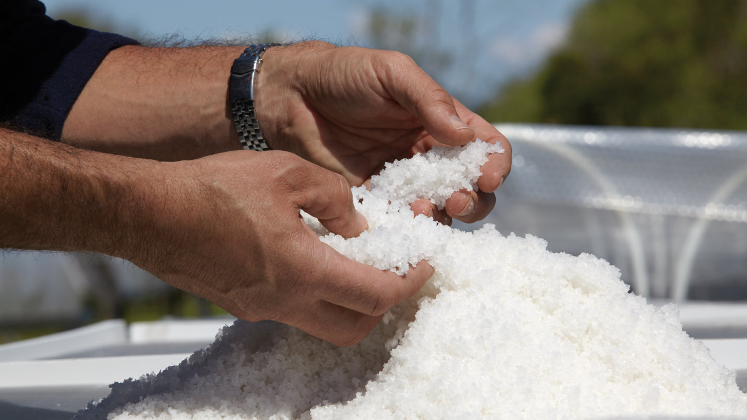 Close-up of hands in a pile of white salt crystals with a blurred outdoor background.